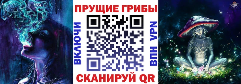 Псилоцибиновые грибы мицелий  купить наркоту  Малаховка 